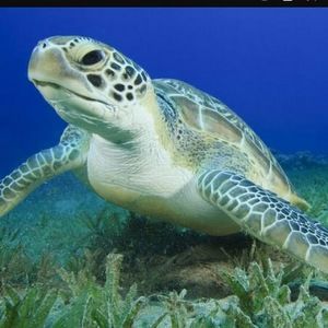 Meet your Posher, Jacqui